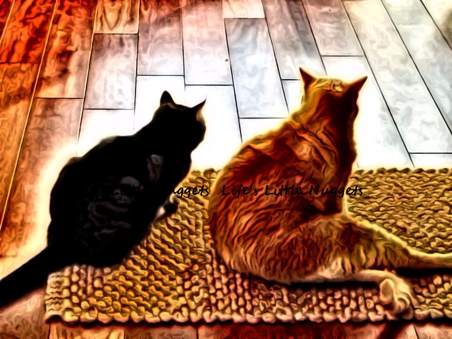 BROTHERS from another Mother